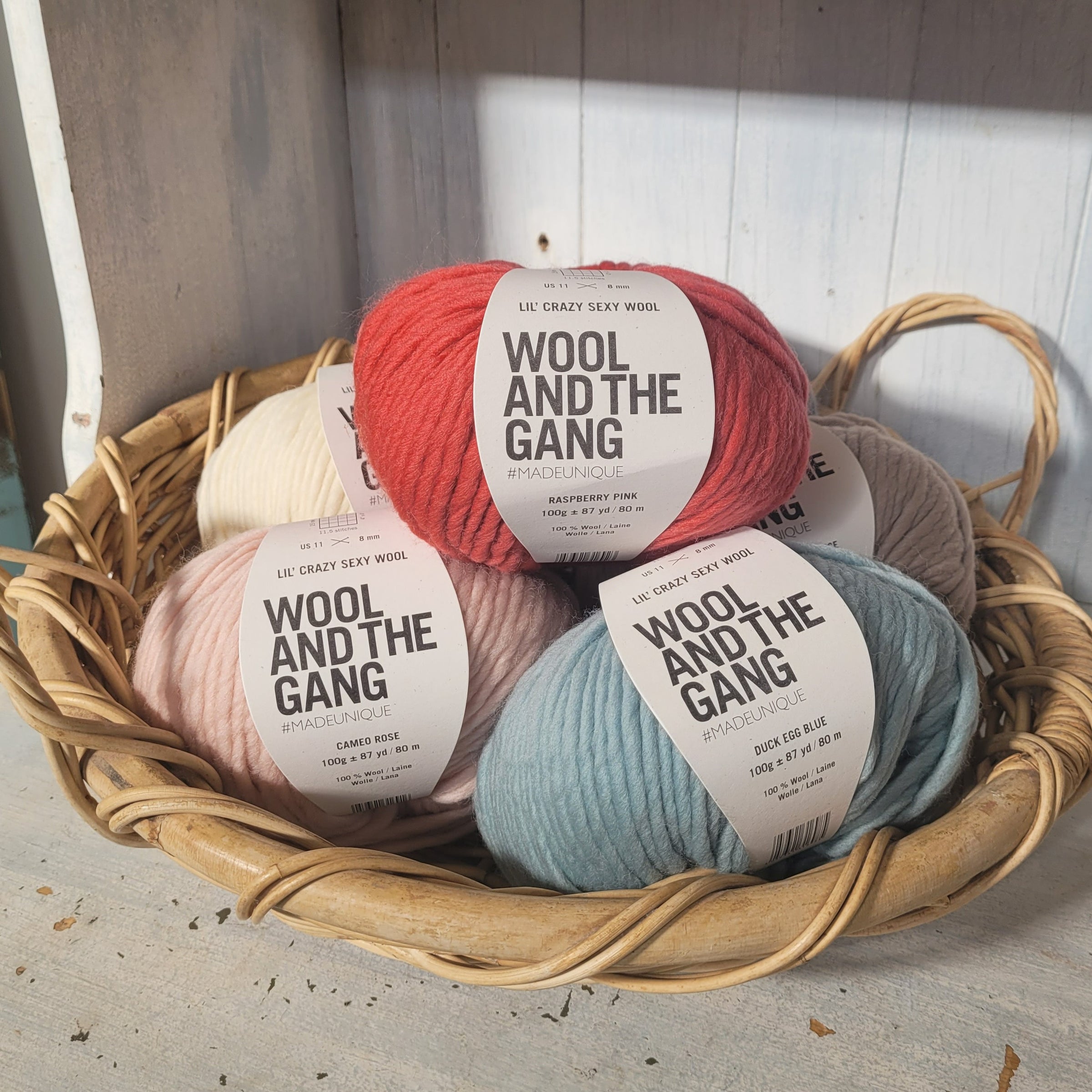 Wool and the Gang Lil' Crazy Sexy Wool | Yarn by the River Wool and the Gang Lil' Crazy Sexy Wool | Yarn by the River